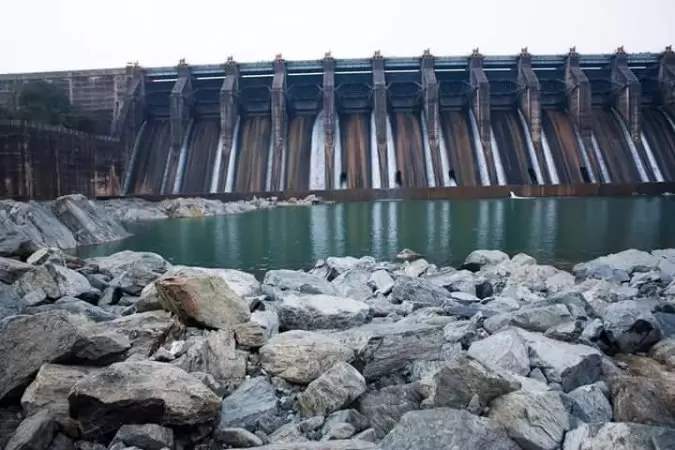 grasshopper yatra Image