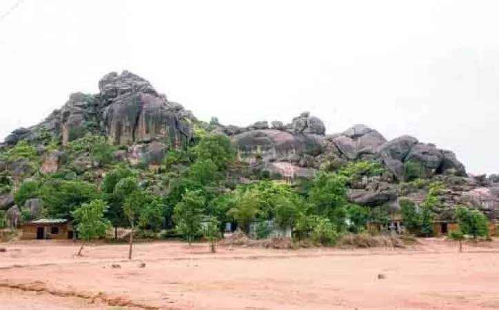 grasshopper yatra Image