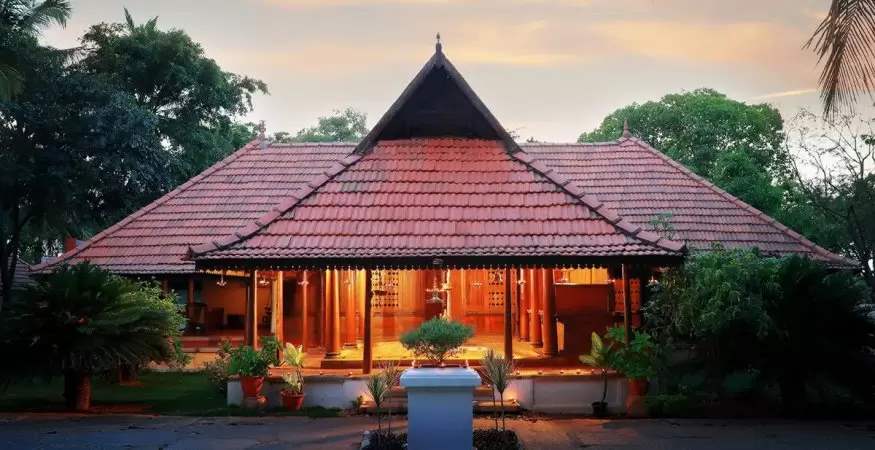grasshopper yatra Image