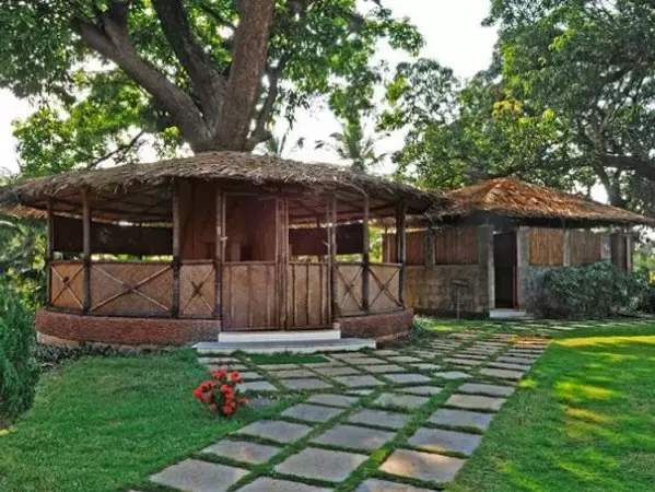 grasshopper yatra Image